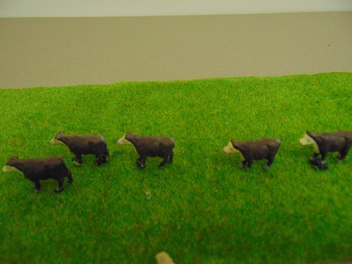 Hornby cattle oo gauge - 5, ~