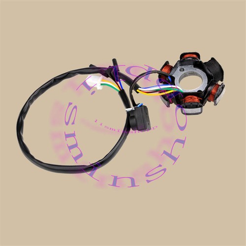 Ignition stator magneto - stator,
