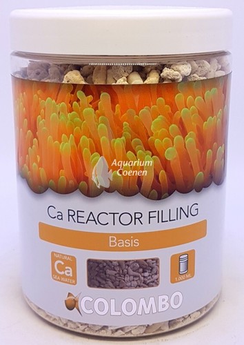 Colombo marine reef - reef, reactor
