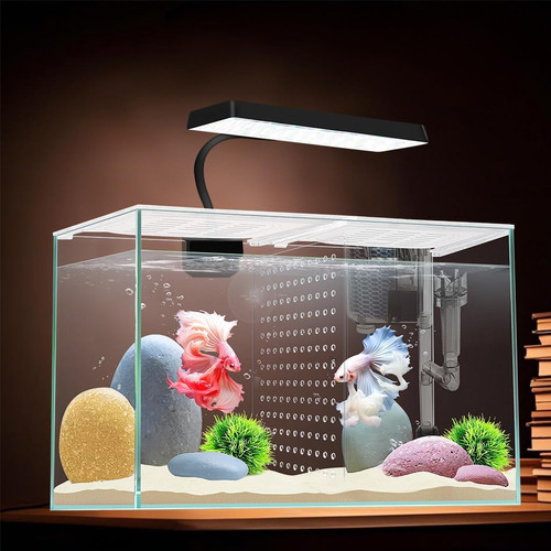 Gallon l fish - 3,