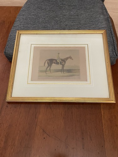 Antique 19thc equestrian print - antique,