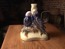 Budgie,s , jemma Holland 404.