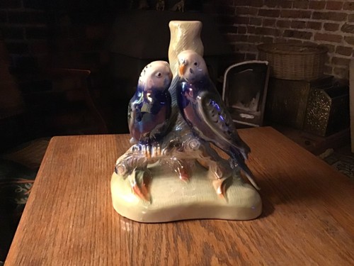 Budgie jemma holland - ,, 404.