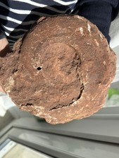 Large Unprepared/Rough Permian