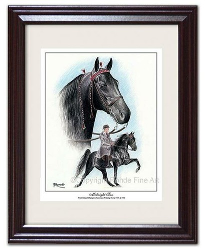 Tennessee walker walking horse - walker,