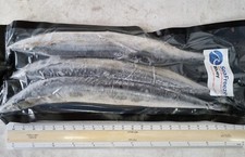 BLUEYS  FISHING BAIT  FROZEN 5