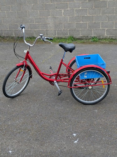 Adult speed tricycle red - adult, in