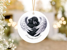 Black Miniature Poodle Dog