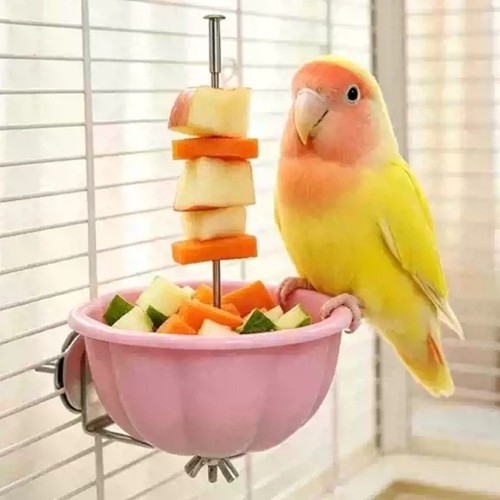 Bird cage food bowl foraging - bird,