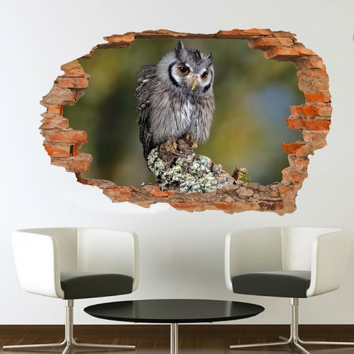 Wildlife birds beautiful owl - wildlife,