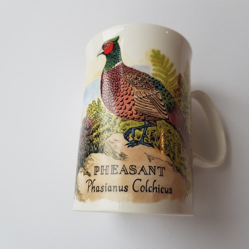 Dunoon pheasant game bird - game,