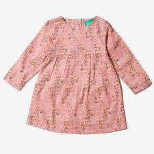 Little Green Radicals, Above