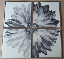 NEW Next SET Of 4 Monochrome