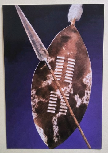 Zulu war shield and - war, assagi