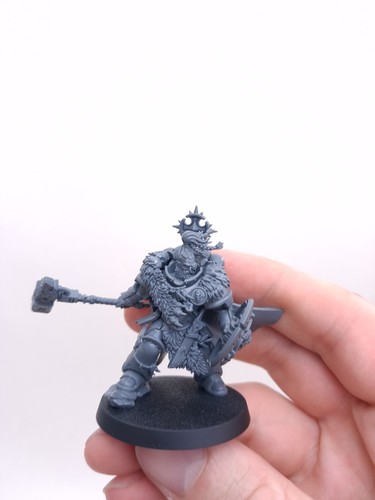 Wolf guard battle leader - guard,