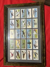Framed Set Of Players