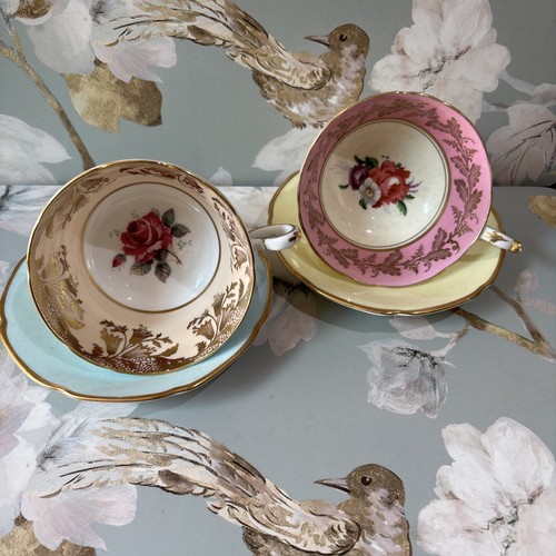 Paragon double warrant teacup - paragon,