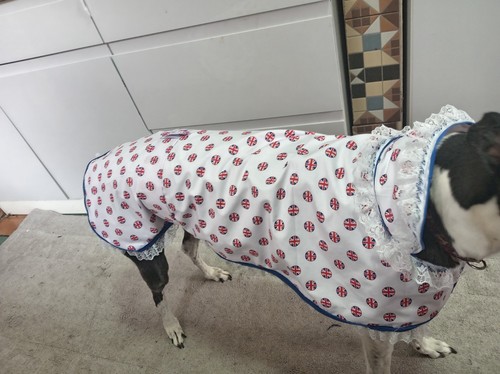 Greyhound union jack - greyhound, fun