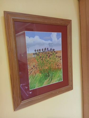 Wheat field off woldgate study - wheat,