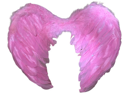 Pink angel wings - pink,