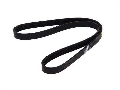 Ribbed belt fits - belt,