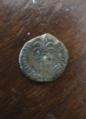 Ancient greek seleucid king - greek,