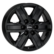 Rial Wheels Transporter