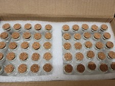 Belle Vous 50 Glass Favour