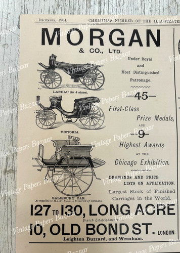 Morgan horse carriages - morgan,