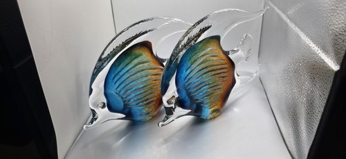 Svaja glass fish pair - ,