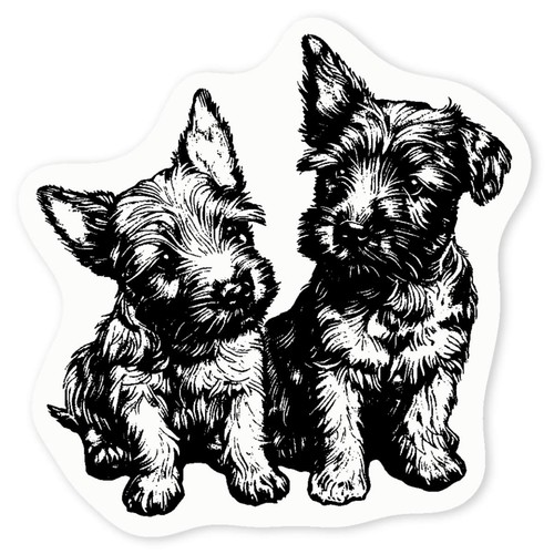 Scottish terrier puppies - 'scottish, puppies'