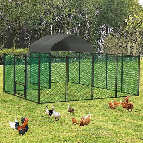 Xxl chicken run cage - run, in
