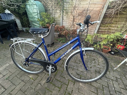 Bike adult metallic - adult,