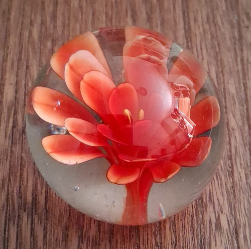 Clear glass paperweight - clear,