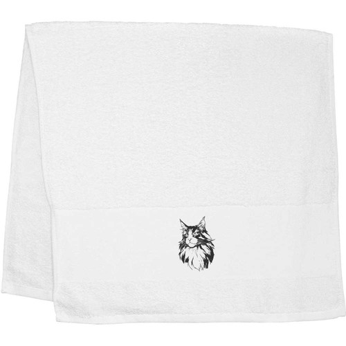 Maine coon cat - portrait', hand