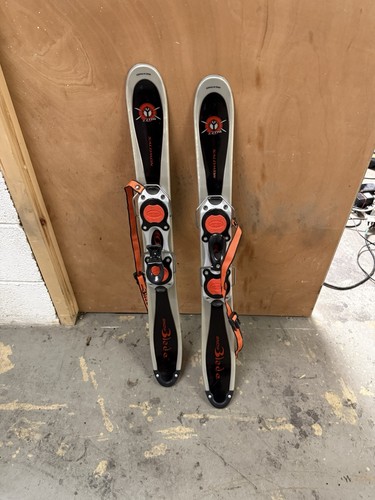 Salomon snowblades buzz - salomon,