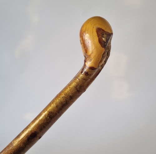Vintage knob stick hazel - stick,
