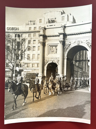 The king troop royal horse - 'the,