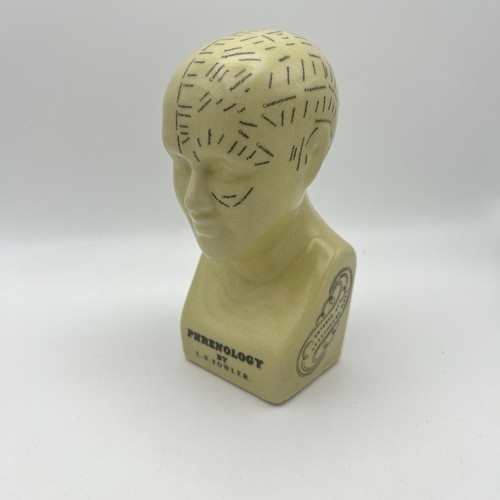 Vintage phrenology head bust - bust, l