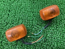 TLM220R Rear Turn Signals