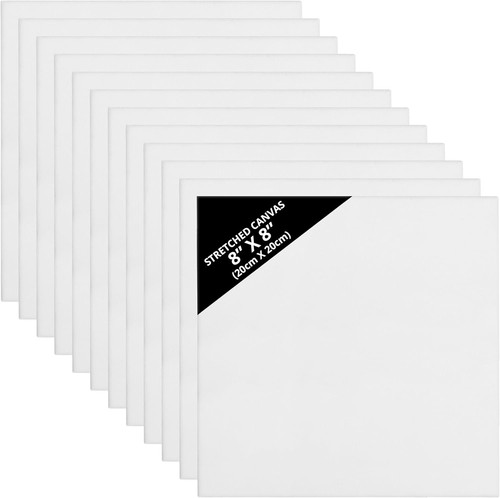 12x blank canvas acrylic - blank,