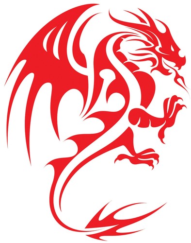 Large car van bonnet sticker - bonnet,