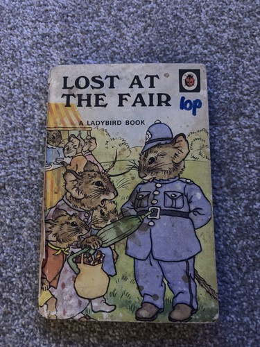 Lost the fair ladybird book - the,