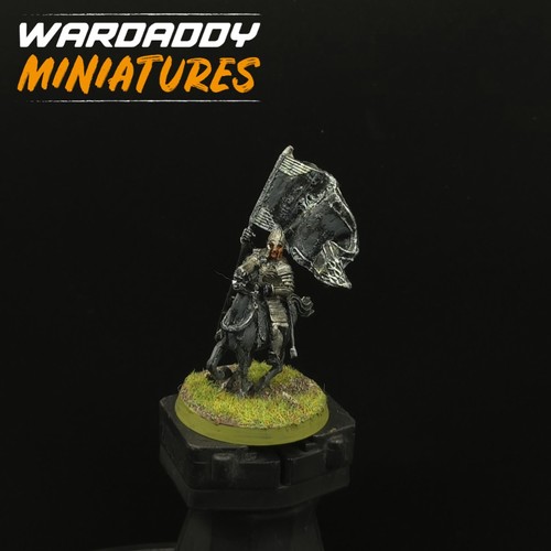 Well painted warhammer lotr - well,