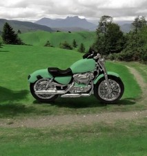 Large  Edible Fondant