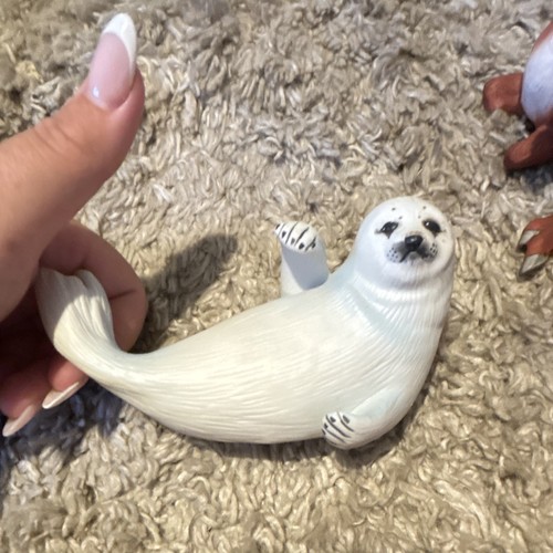 Snow pup seal sea - pup, lion