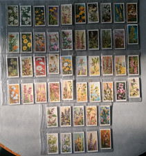 WD & HO Wills Wild Flowers 2nd