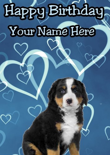 Bernese mountain pup - mountain,