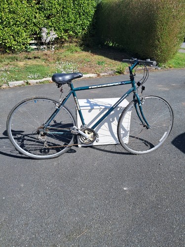 Speed ridgeback adventure - 18,