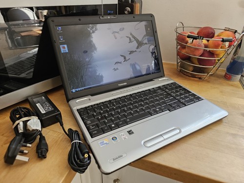 Toshiba satellite l500 intel - l500,